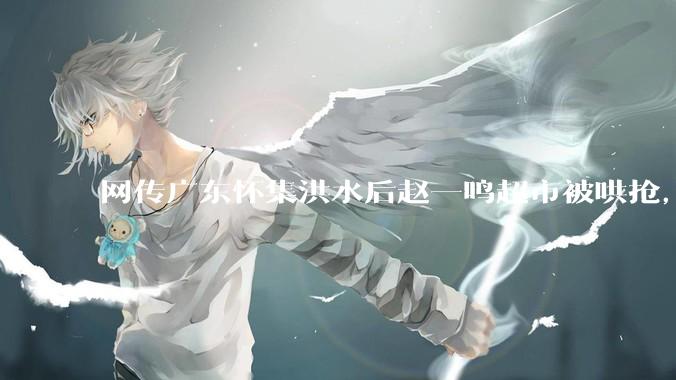 网传广东怀集洪水后赵一鸣超市被哄抢，县***回应相关单位正在核实，若属实哄抢者该承担哪些法律责任？